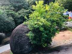 -火炉山森林公园