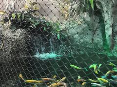 -太平洋海底世界