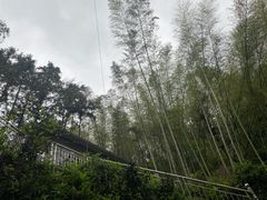 -江南厨子(万象天地店)