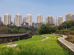 -龙头寺公园