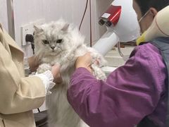 -宠颐生动物医院·小陆分院