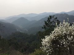 -木兰云雾山