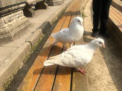 -御苑宾馆-中餐厅