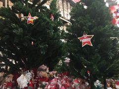 -麦德龙(湖里店)