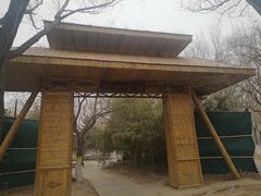 -大兴滨河森林公园