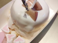 -狐狸和向日葵(北京路店)