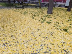 -大钟寺古钟博物馆