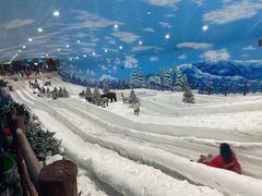 -世界之窗阿尔卑斯冰雪世界
