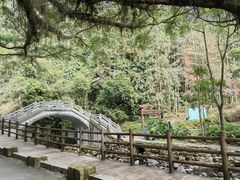 -广州市石门国家森林公园