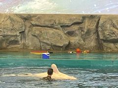 -威海华夏城景区