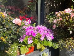 -思南公馆商业街