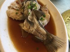 清蒸鲈鱼-九头鸟酒家(四道口店)
