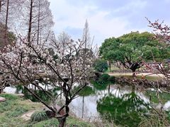-无锡梅园公园