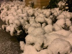 -星宝贝儿童摄影