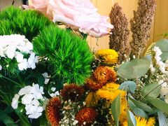 大堂-蝶舍·MAISON PAPILLON