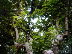 -常熟路(地铁站)