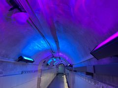 -洞庭洲·防空洞火锅·铜锅涮肉·烧烤(新百广场店)