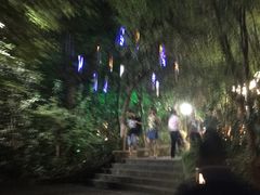 -宝莱纳啤酒花园餐厅PAULANER BRAUHAUS Nanjing(广州路店)