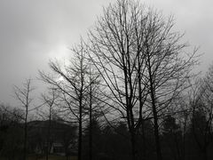 -四明山国家森林公园