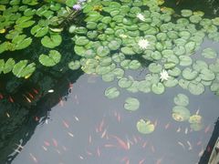 android_upload_pic-映月潭温泉
