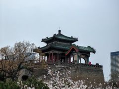 -大唐贡茶院