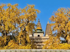 -北京石刻艺术博物馆(五塔寺)