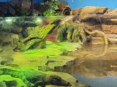 -沙沙哗啦海洋馆(华宇百花谷店)