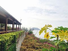 -漳州滨海火山岛自然生态风景区