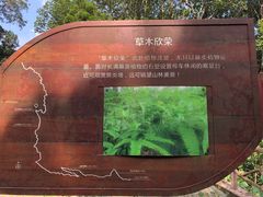-海南热带雨林国家公园吊罗山景区