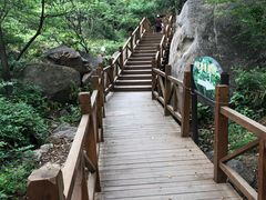 -大岭沟猕猴桃谷风景区