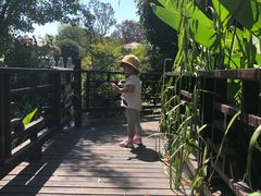 -武汉紫薇都市田园