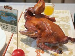 红烧鸽-大鸽饭(岗顶店)