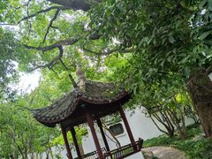 -上海醉白池公园