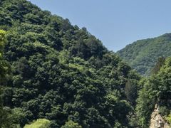 -沣峪口