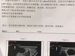 -北京观赏动物医院·24小时大型综合·猫专科·异宠专科