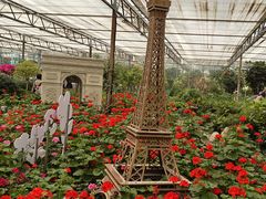 -南宫五洲植物乐园