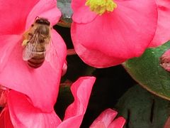 -复旦大学附属华山医院(江苏路分部)