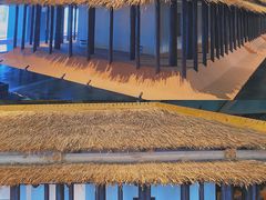 -盘龙城国家考古遗址公园