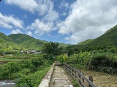 -莫干山风景区