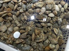 -丽苑大酒店