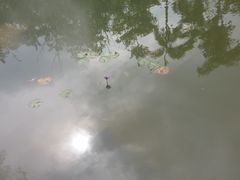 -水底山庄园温泉