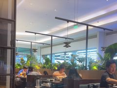 -同仁四季椰子鸡(宝安壹方城店)