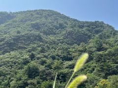 -北京西山国家森林公园