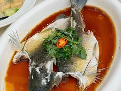 -松雅轩商务婚礼生日(同和店)