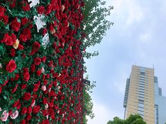 -UNI UNI(环亚凯瑟琳店)