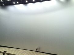 巨幕-天幕新彩云国际影城(激光巨幕店)