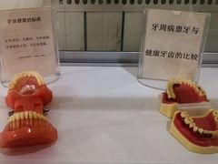 -青岛市口腔医院(总院)