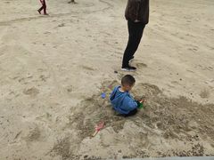 -九龙湖公园