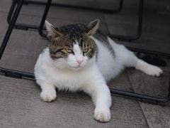 -UNI UNI(环亚凯瑟琳店)