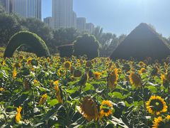 -长白岛森林公园